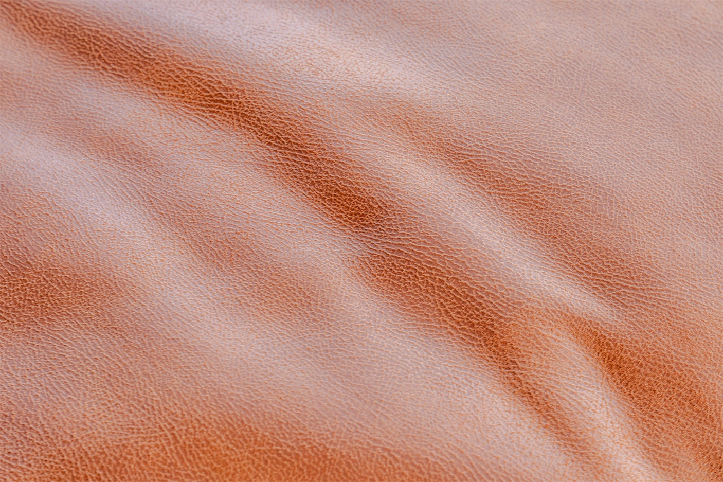 c1645165-3222-402a-93c2-bf817eeda952