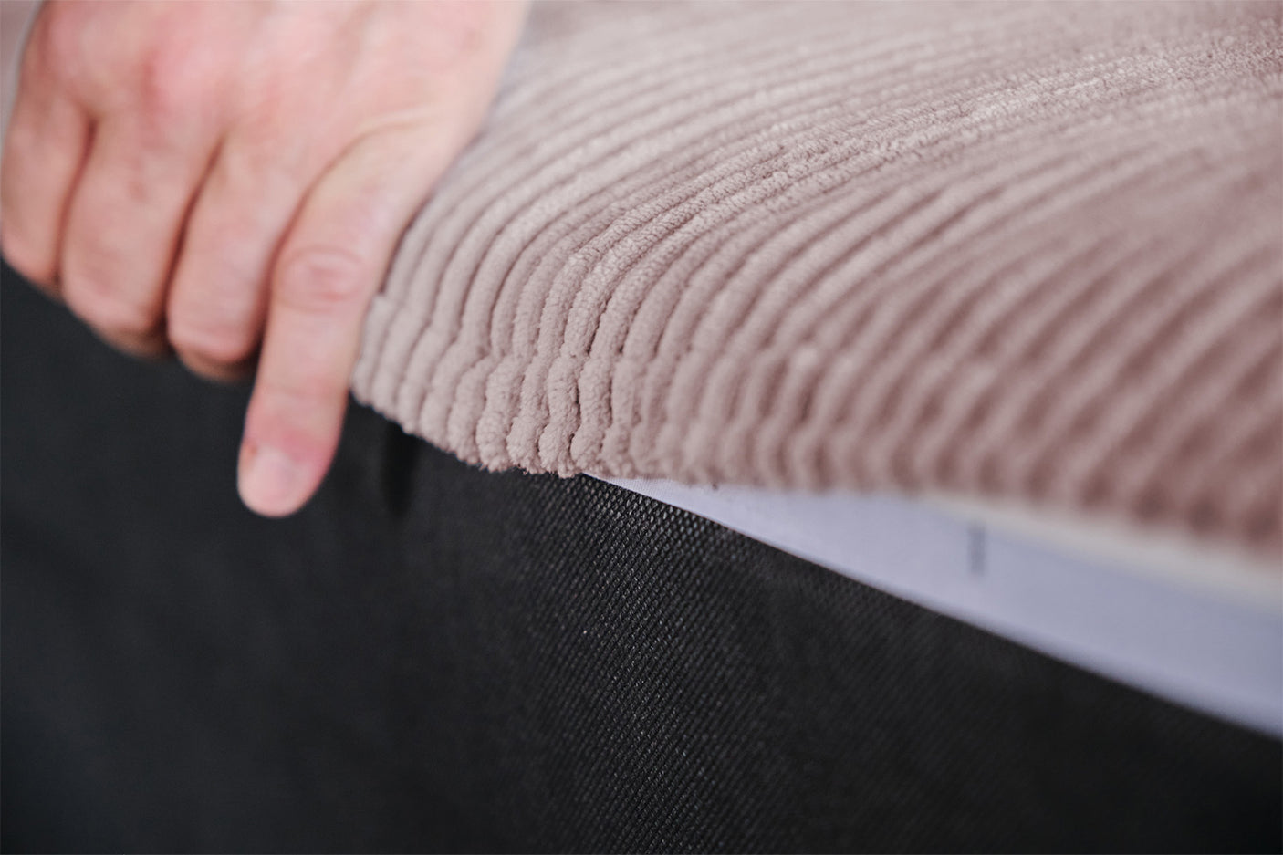 462cce79-911e-495a-b6e5-e653d41e09db